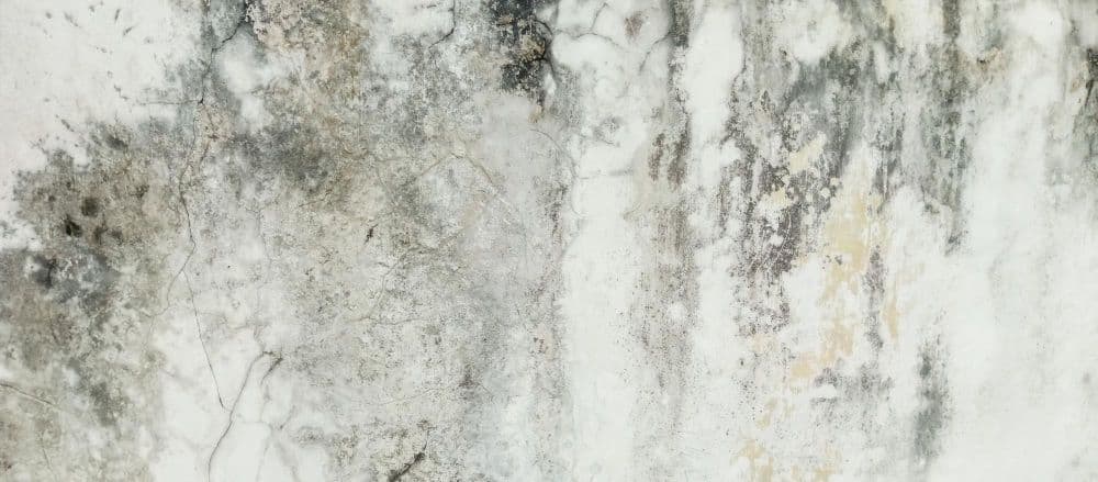 Guías de precios de Humedades